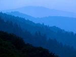 smoky-mountains_3788_600x450